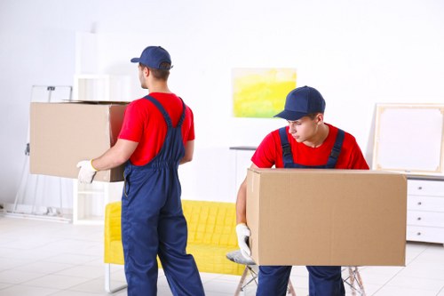 Professional packing team preparing household items in The Hyde