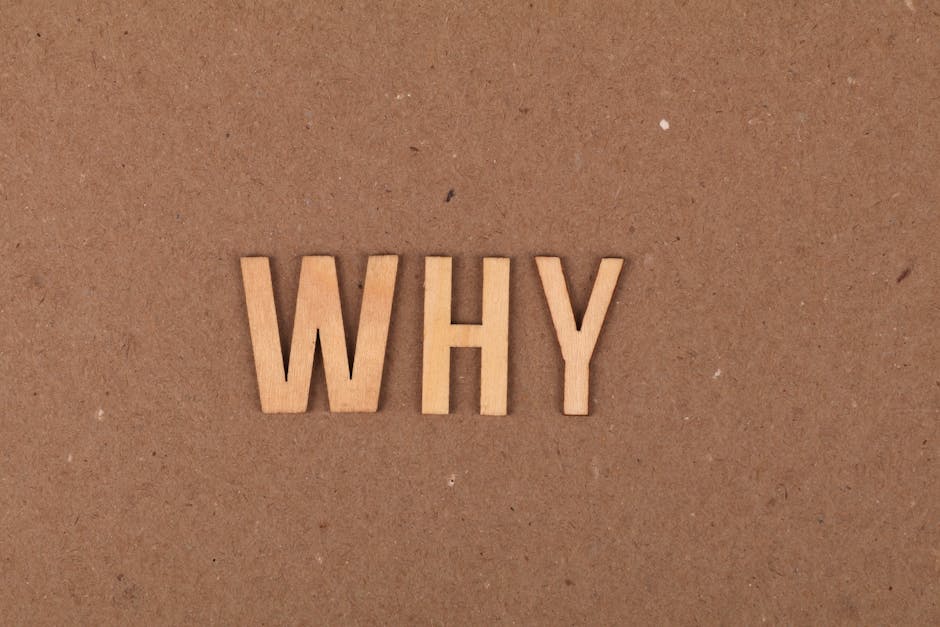 A close-up image features four light wooden letters spelling out the word 'WHY' arranged horizontally on a brown cardboard surface. The background shows a smooth, matte texture typical of packing material, with subtle variations in tone and small scattered debris. This image is set in a context related to house removals and moving services, illustrating the concept of questions or considerations regarding relocation processes, such as fees or logistics. The lighting is even, highlighting the clarity of the wooden lettering against the cardboard, and the scene appears to be inside a packing or loading area where furniture, boxes, or moving equipment might be involved. Occasionally, [COMPANY_NAME], Man with Van The Hyde, offers services that include packing, loading, and furniture transport, making this visual relevant for content discussing home relocation steps and associated considerations.